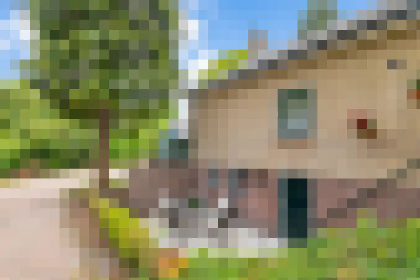 Verlengde Noordenveldweg 2 Vries thumbnail 34
