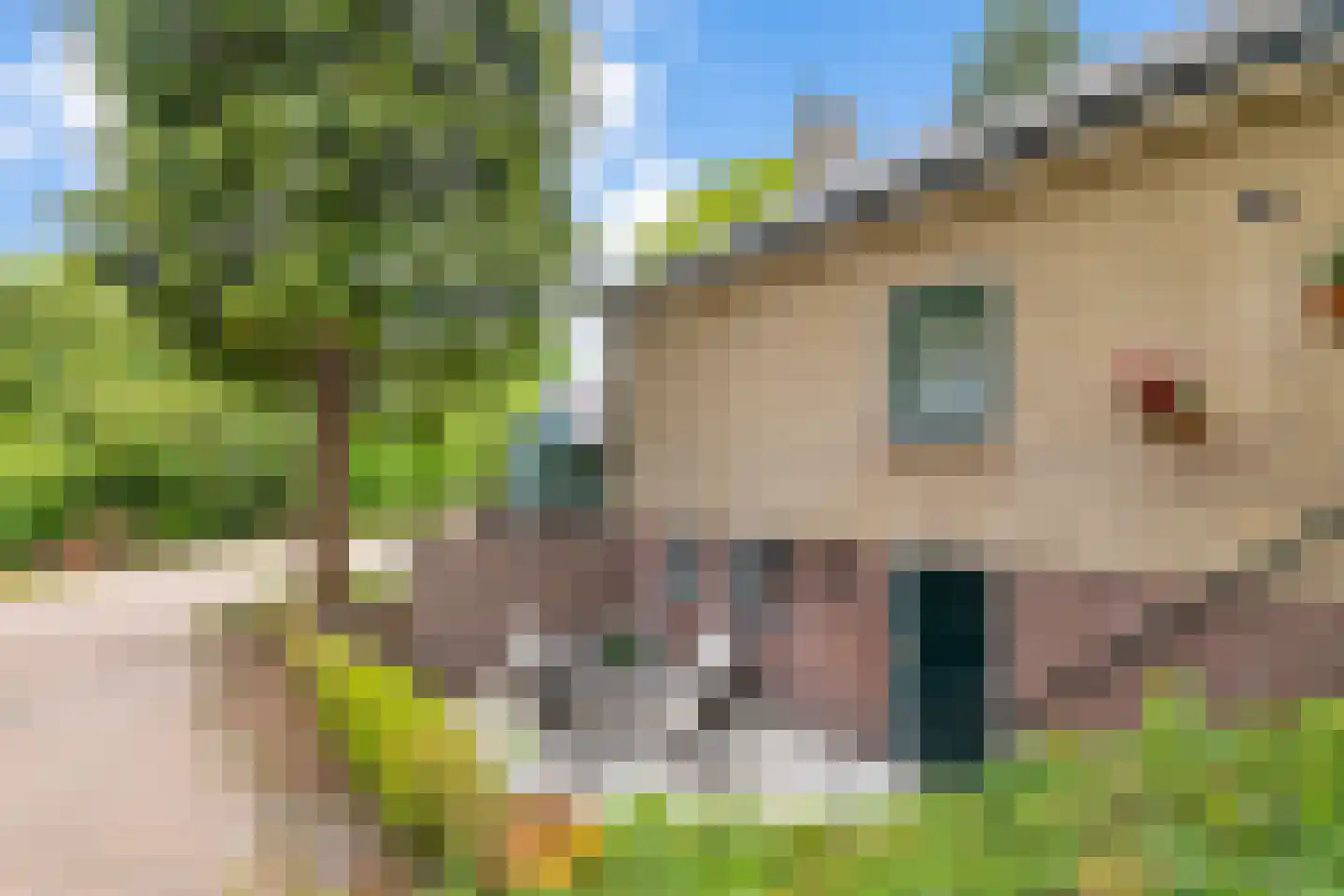 Verlengde Noordenveldweg 2 Vries thumbnail 34
