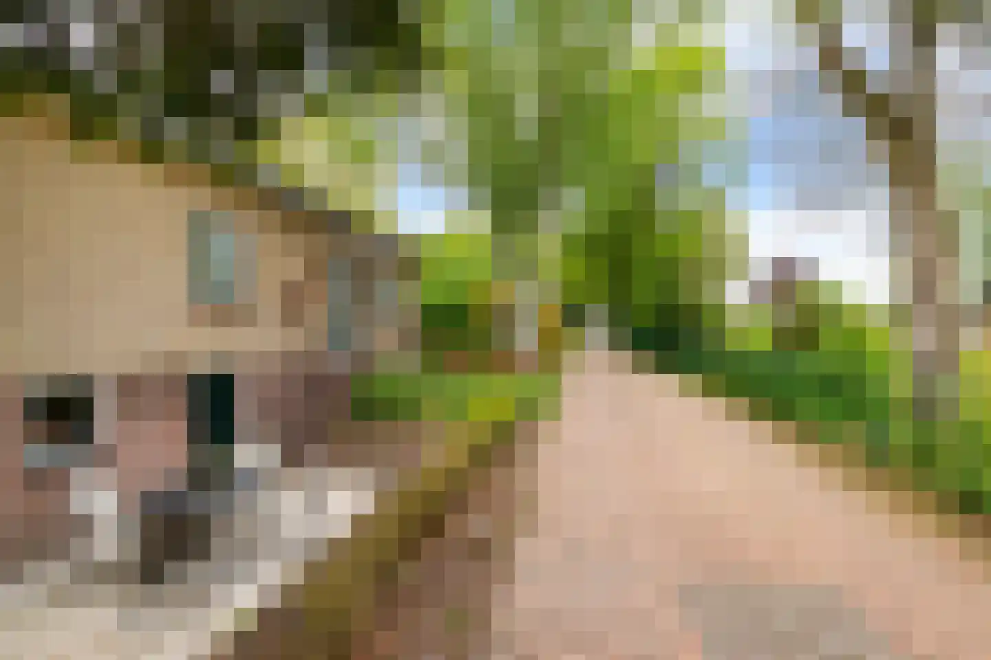 Verlengde Noordenveldweg 2 Vries thumbnail 36