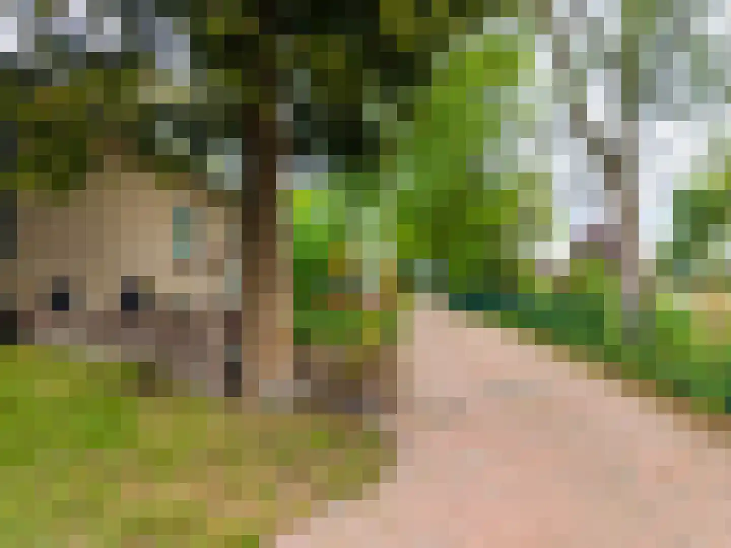 Verlengde Noordenveldweg 2 Vries thumbnail 37