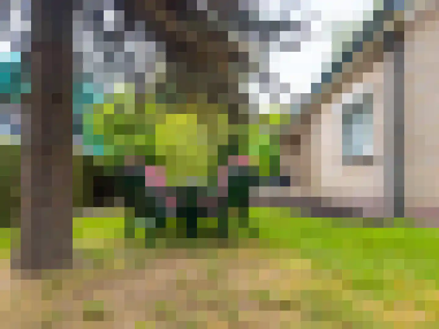 Verlengde Noordenveldweg 2 Vries thumbnail 40