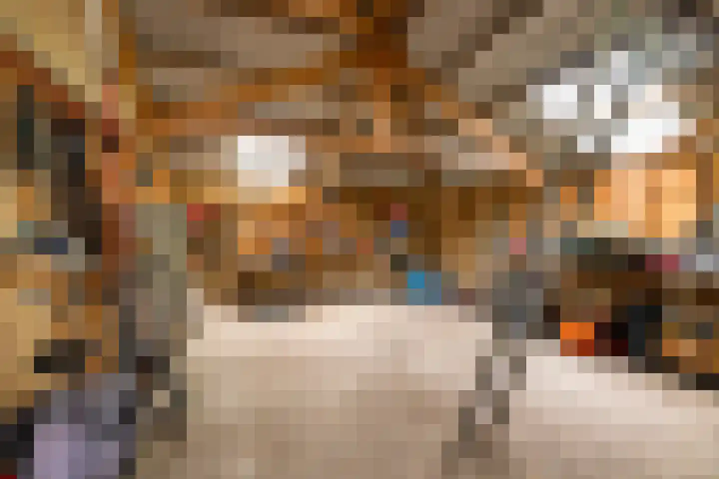 Verlengde Noordenveldweg 2 Vries thumbnail 42