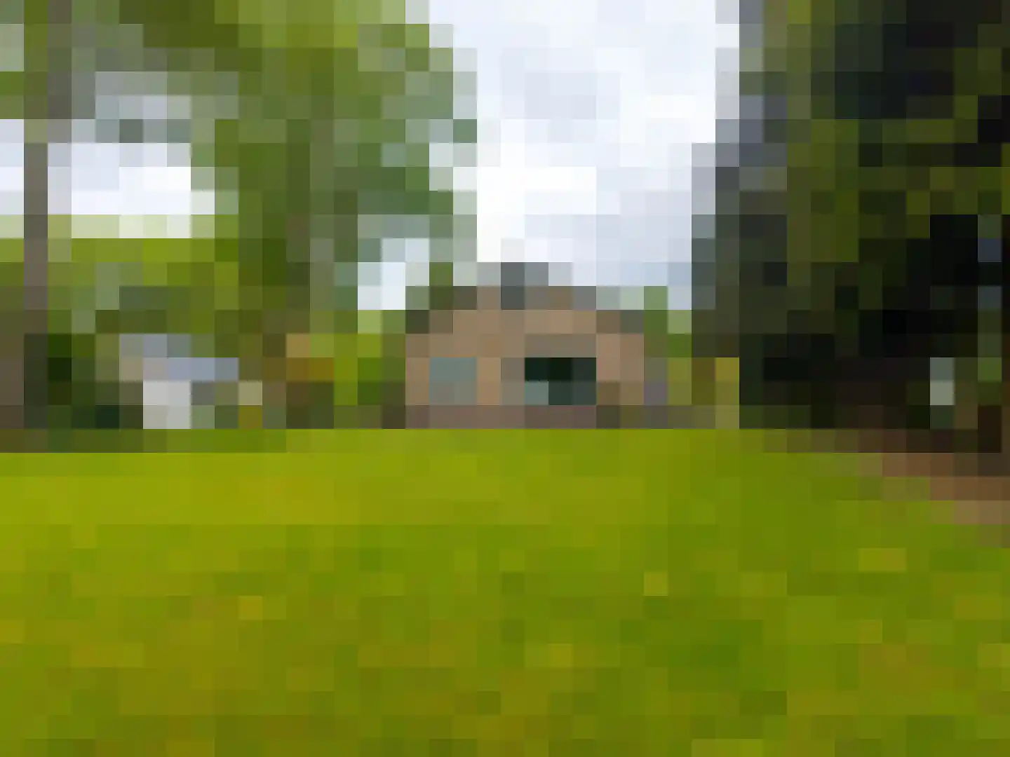 Verlengde Noordenveldweg 2 Vries thumbnail 5