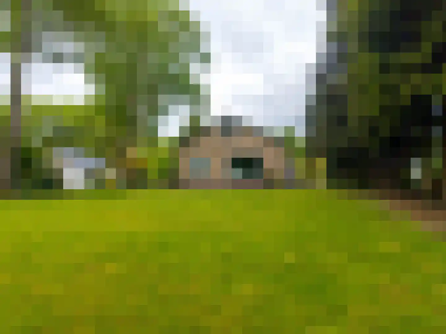Verlengde Noordenveldweg 2 Vries thumbnail 5