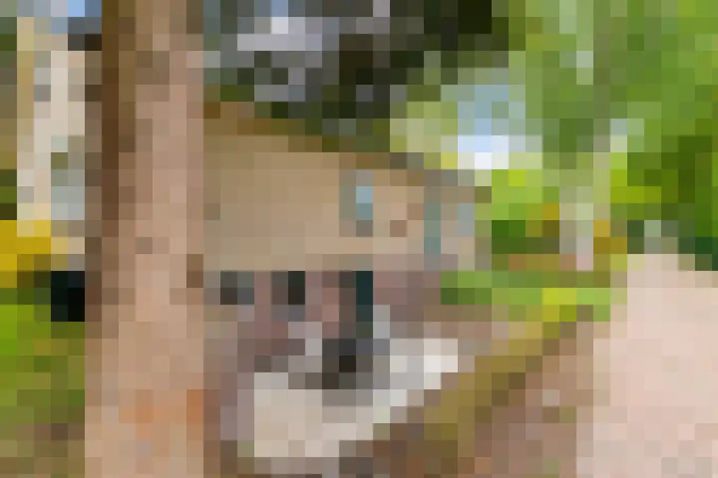Verlengde Noordenveldweg 2 Vries thumbnail 8