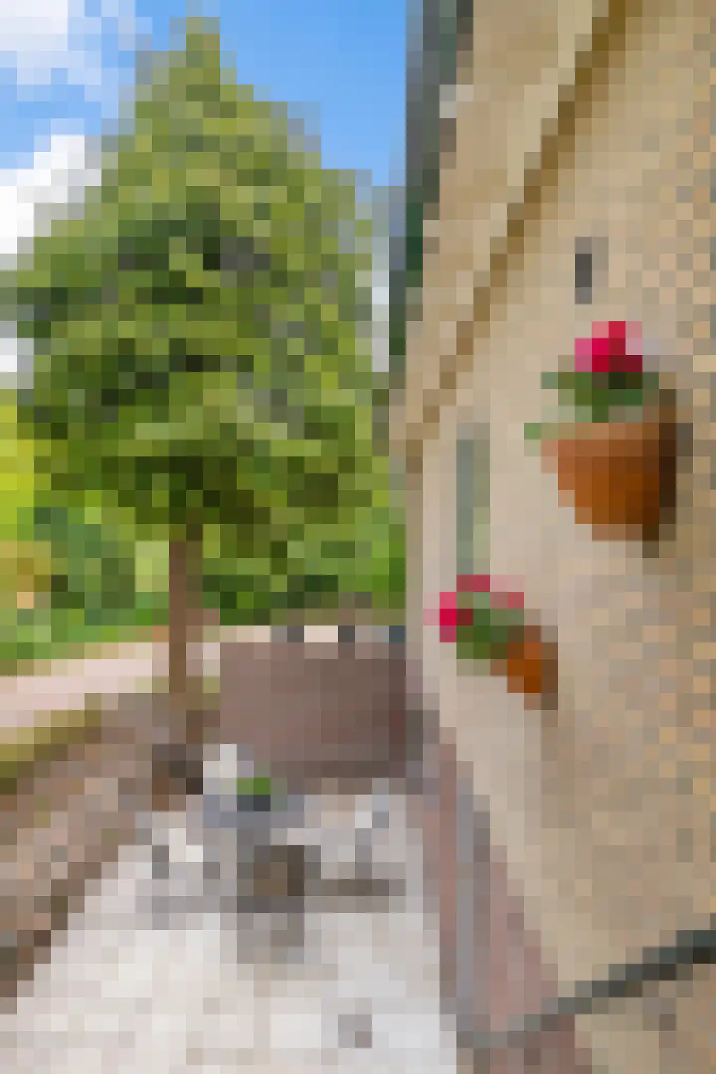 Verlengde Noordenveldweg 2 Vries thumbnail 9