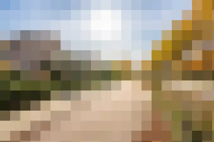 Verlengde Oosterdiep OZ 124 Barger-Compascuum thumbnail 11