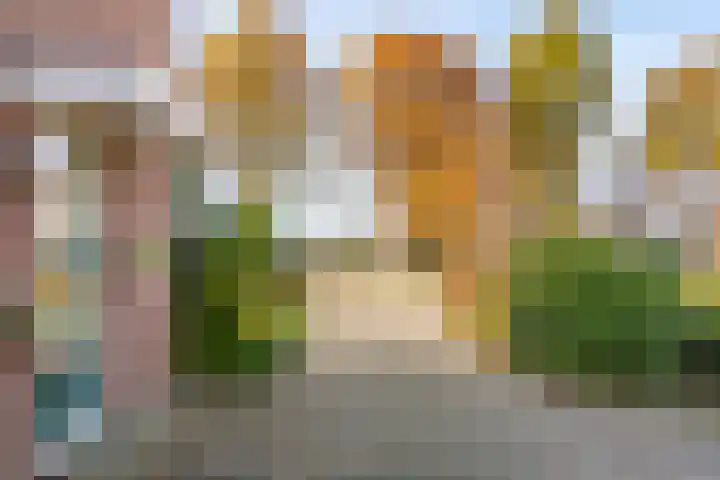 Verlengde Oosterdiep OZ 124 Barger-Compascuum thumbnail 12