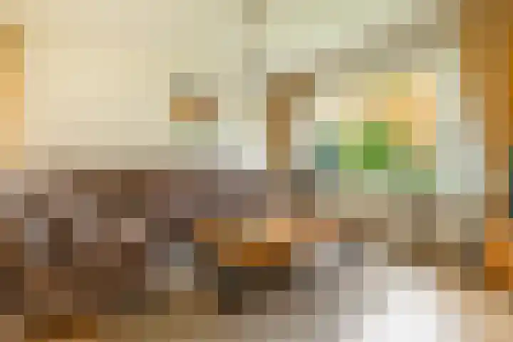 Verlengde Oosterdiep OZ 124 Barger-Compascuum thumbnail 19