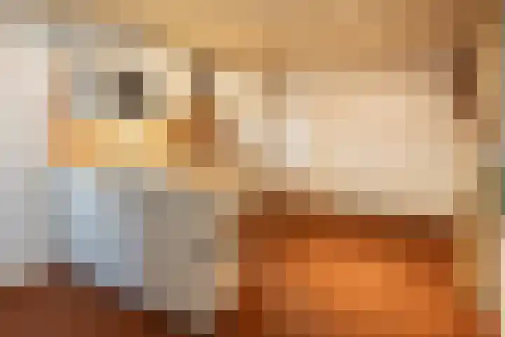 Verlengde Oosterdiep OZ 124 Barger-Compascuum thumbnail 23