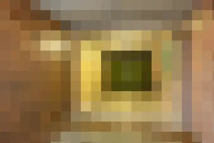 Verlengde Oosterdiep OZ 124 Barger-Compascuum thumbnail 31