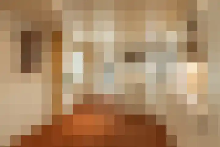 Verlengde Oosterdiep OZ 124 Barger-Compascuum thumbnail 4