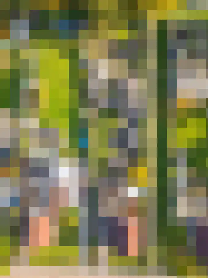 Verlengde Oosterdiep OZ 124 Barger-Compascuum thumbnail 40