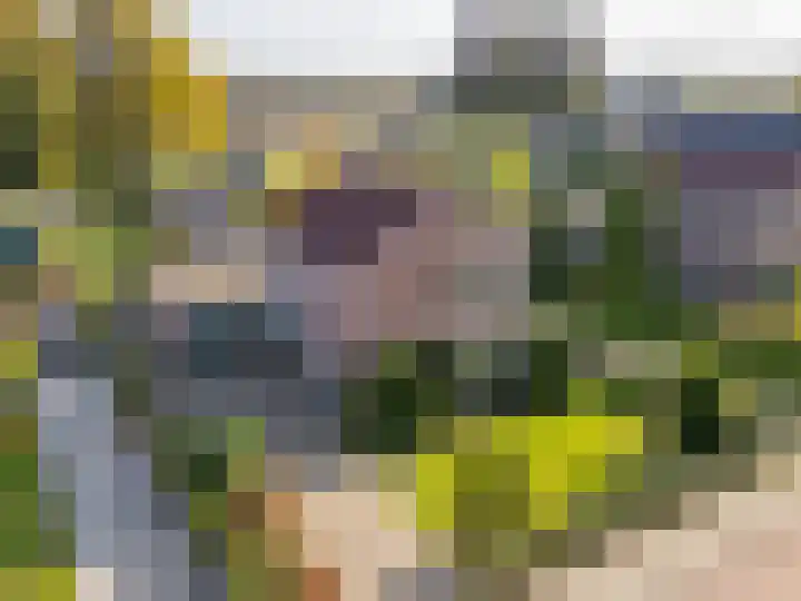 Verlengde Oosterdiep OZ 124 Barger-Compascuum thumbnail 41