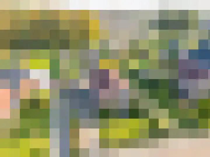 Verlengde Oosterdiep OZ 124 Barger-Compascuum thumbnail 42