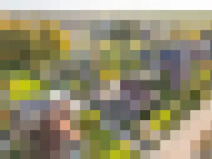 Verlengde Oosterdiep OZ 124 Barger-Compascuum thumbnail 44