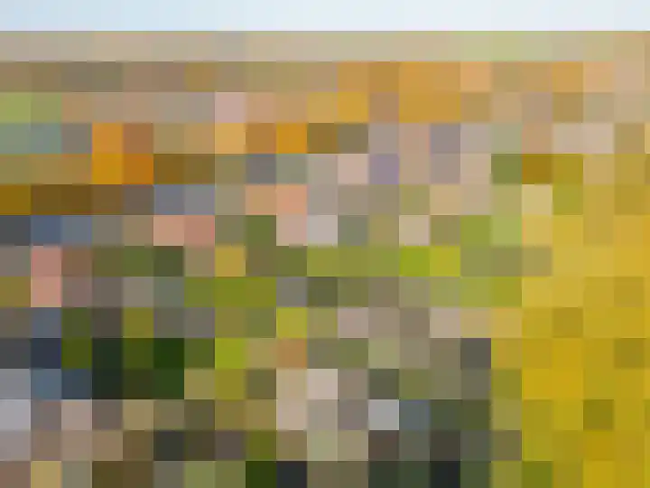 Verlengde Oosterdiep OZ 124 Barger-Compascuum thumbnail 46