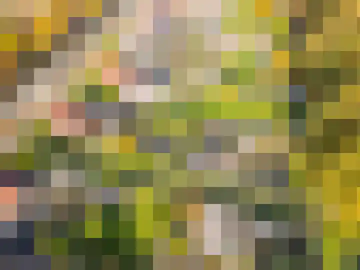 Verlengde Oosterdiep OZ 124 Barger-Compascuum thumbnail 47