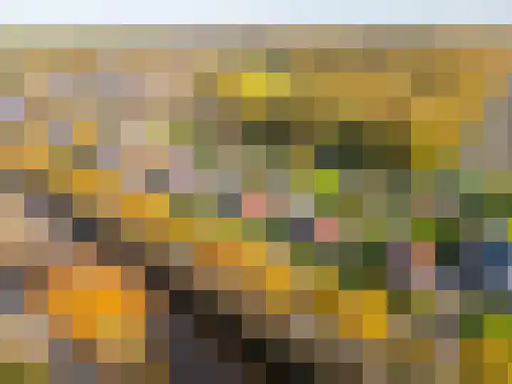 Verlengde Oosterdiep OZ 124 Barger-Compascuum thumbnail 49