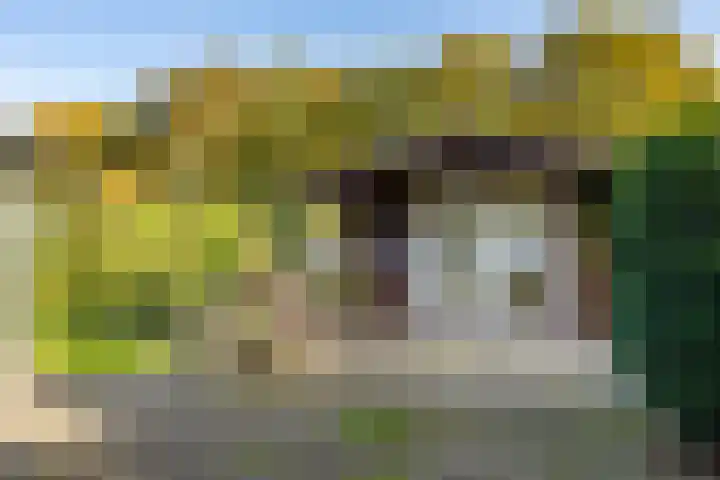 Verlengde Oosterdiep OZ 124 Barger-Compascuum thumbnail 51