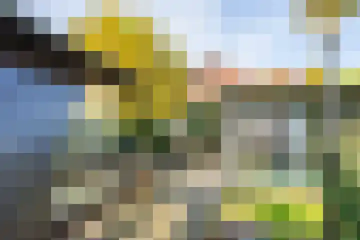Verlengde Oosterdiep OZ 124 Barger-Compascuum thumbnail 52