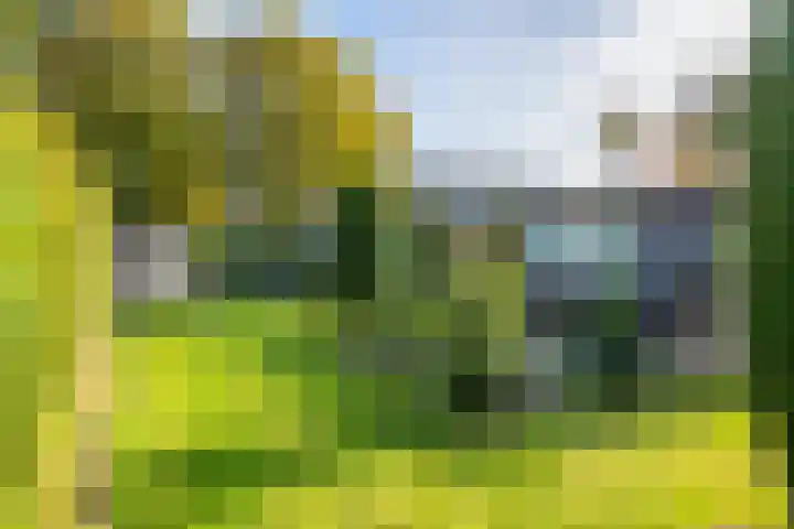 Verlengde Oosterdiep OZ 124 Barger-Compascuum thumbnail 53