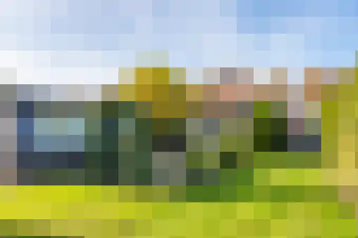 Verlengde Oosterdiep OZ 124 Barger-Compascuum thumbnail 54