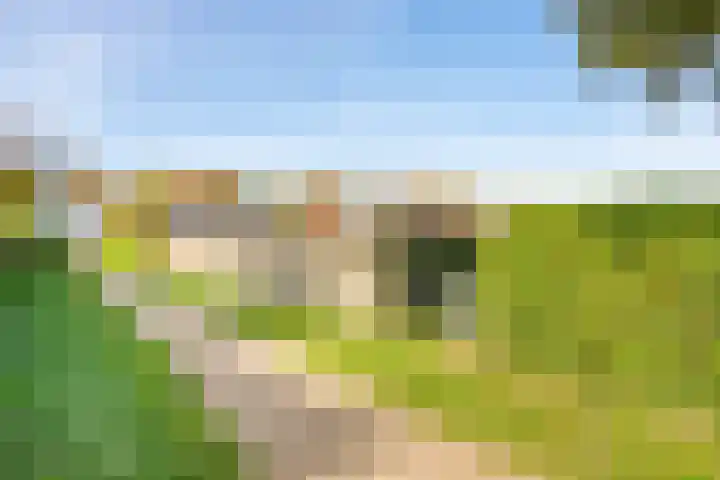 Verlengde Oosterdiep OZ 124 Barger-Compascuum thumbnail 56