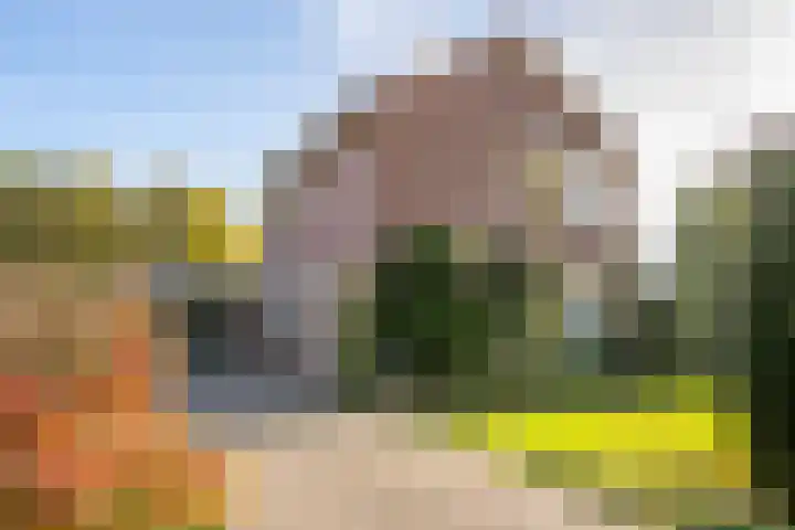 Verlengde Oosterdiep OZ 124 Barger-Compascuum thumbnail 6