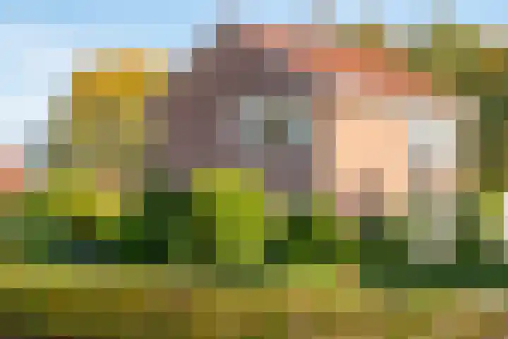Verlengde Oosterdiep OZ 124 Barger-Compascuum thumbnail 8