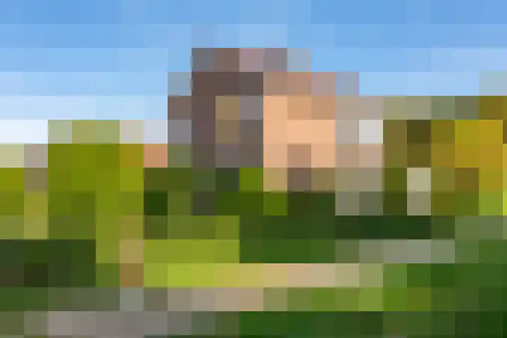 Verlengde Oosterdiep OZ 124 Barger-Compascuum thumbnail 9