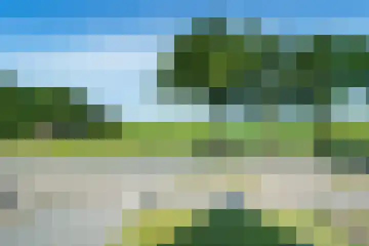 Verlengde Oosterdiep OZ 163 Barger-Compascuum thumbnail 21