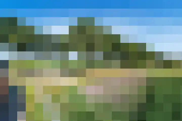 Verlengde Oosterdiep OZ 163 Barger-Compascuum thumbnail 24