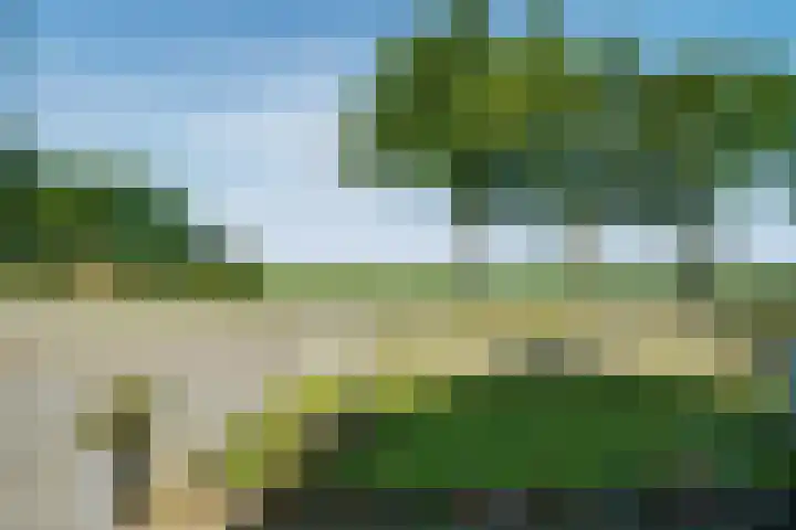Verlengde Oosterdiep OZ 163 Barger-Compascuum thumbnail 25