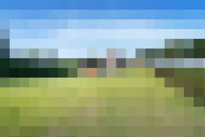 Verlengde Oosterdiep OZ 163 Barger-Compascuum thumbnail 32