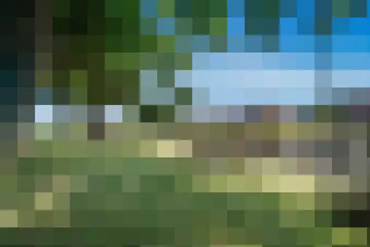 Verlengde Oosterdiep OZ 163 Barger-Compascuum thumbnail 40