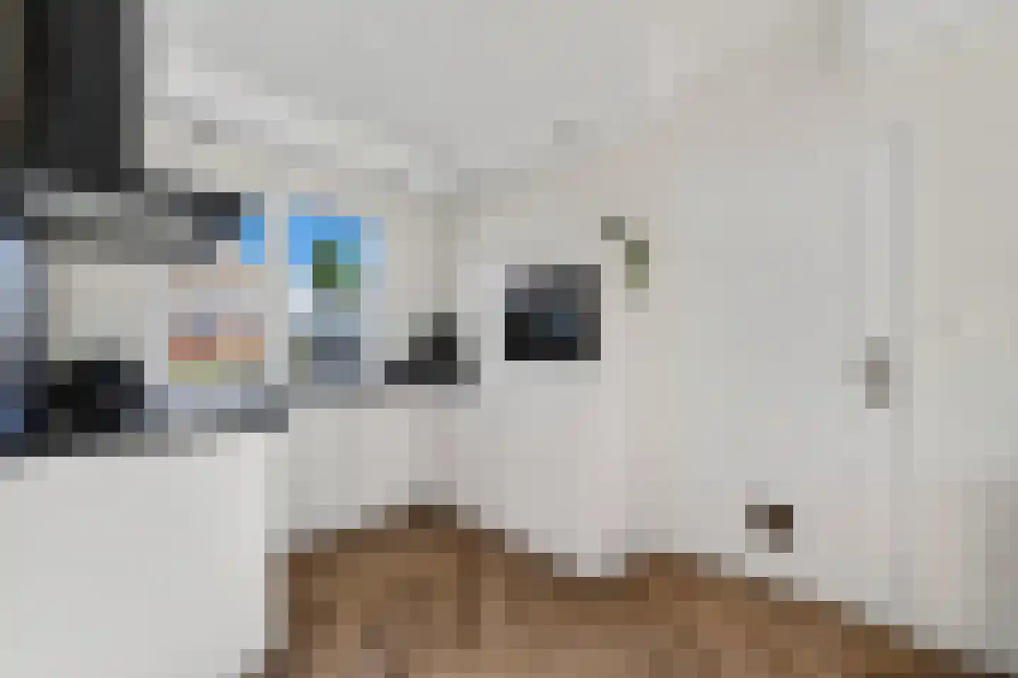 Verlengde Oosterdiep OZ 168 Barger-Compascuum thumbnail 14
