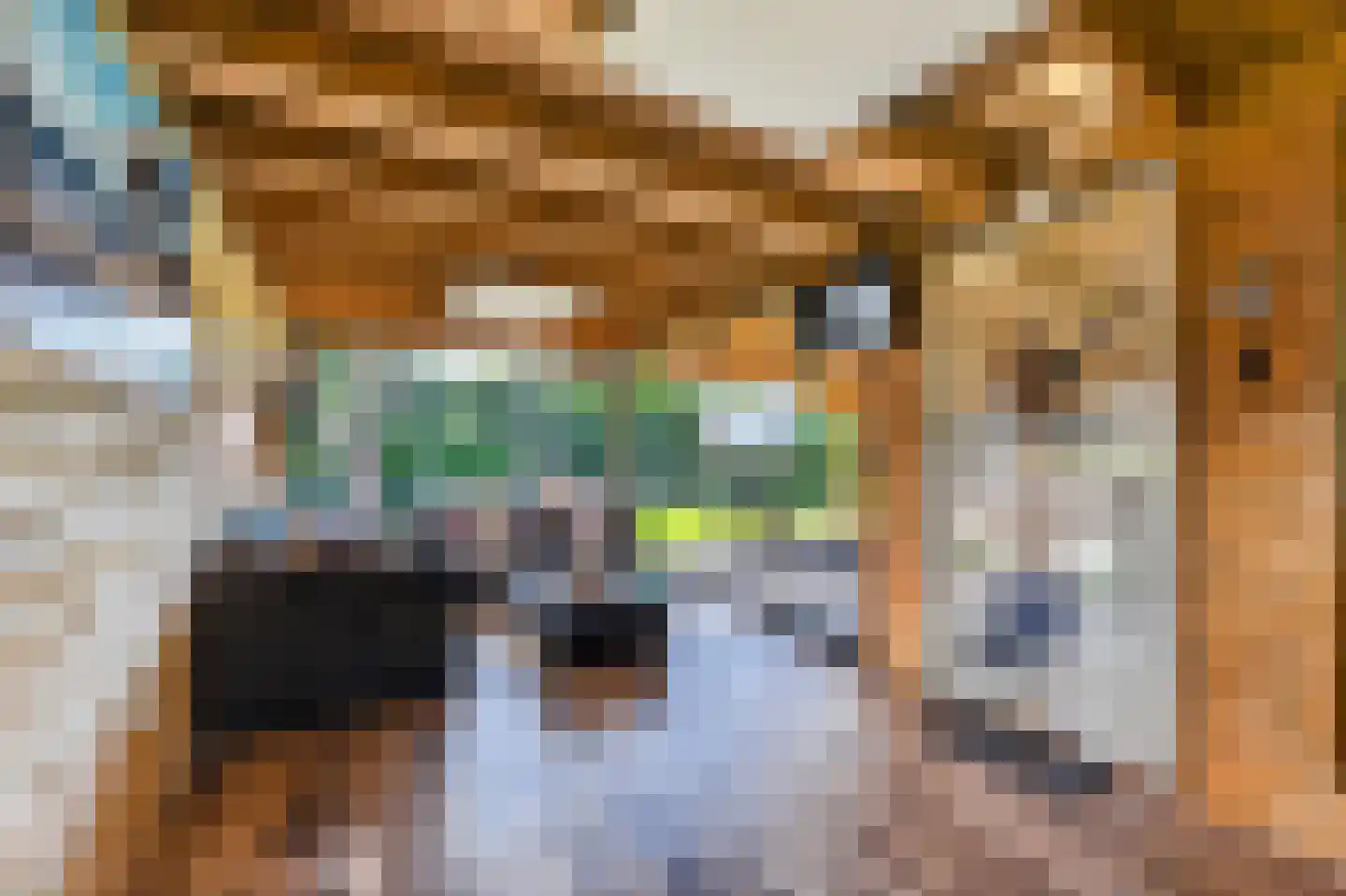 Verlengde Oosterdiep OZ 168 Barger-Compascuum thumbnail 43