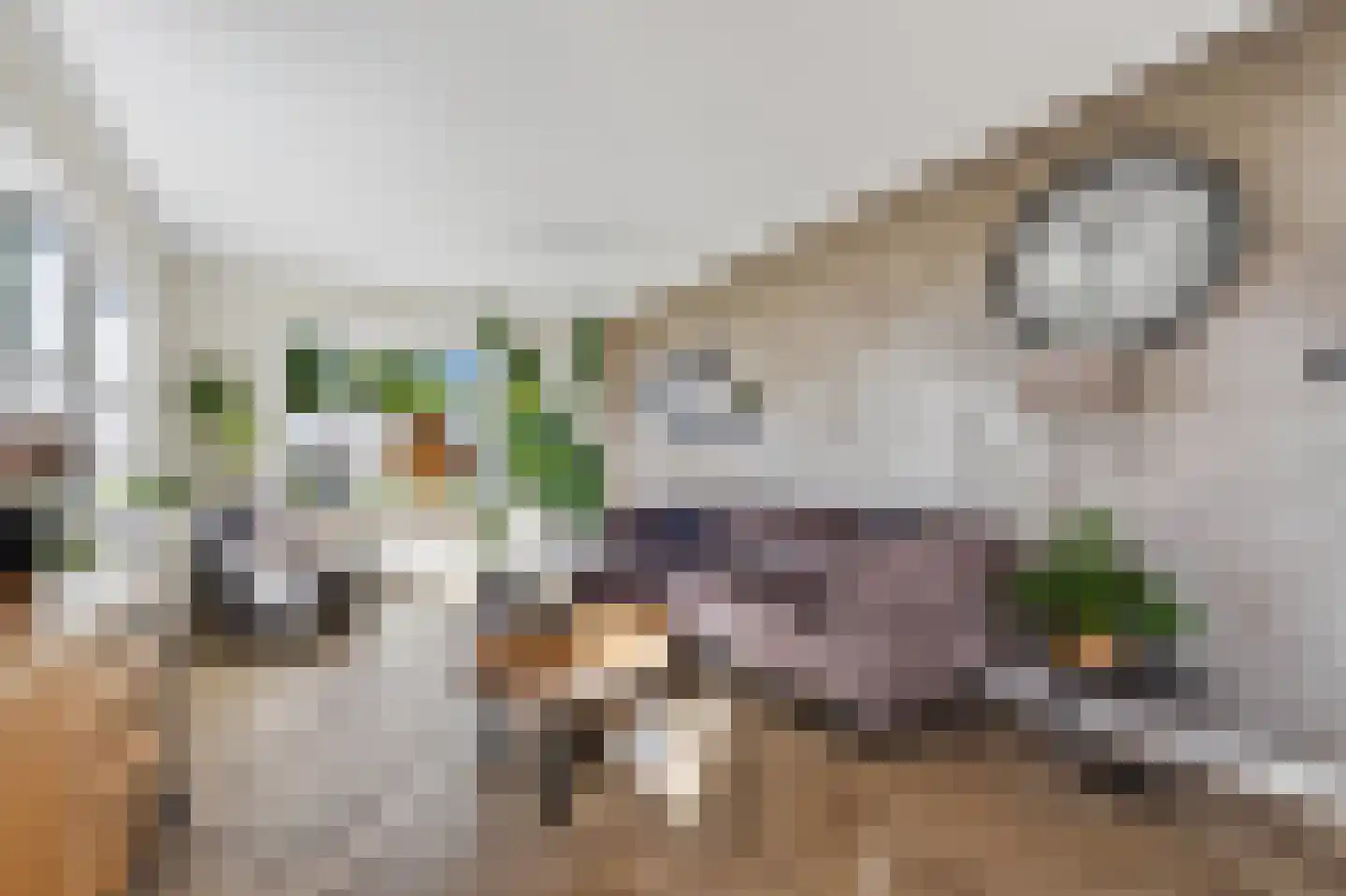 Verlengde Oosterdiep OZ 168 Barger-Compascuum thumbnail 6