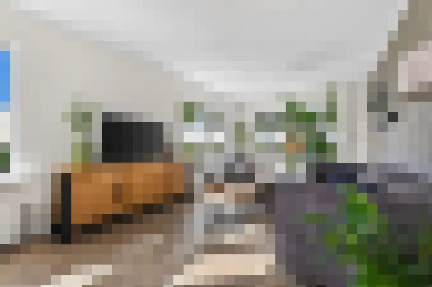 Verlengde Oosterdiep OZ 168 Barger-Compascuum thumbnail 7