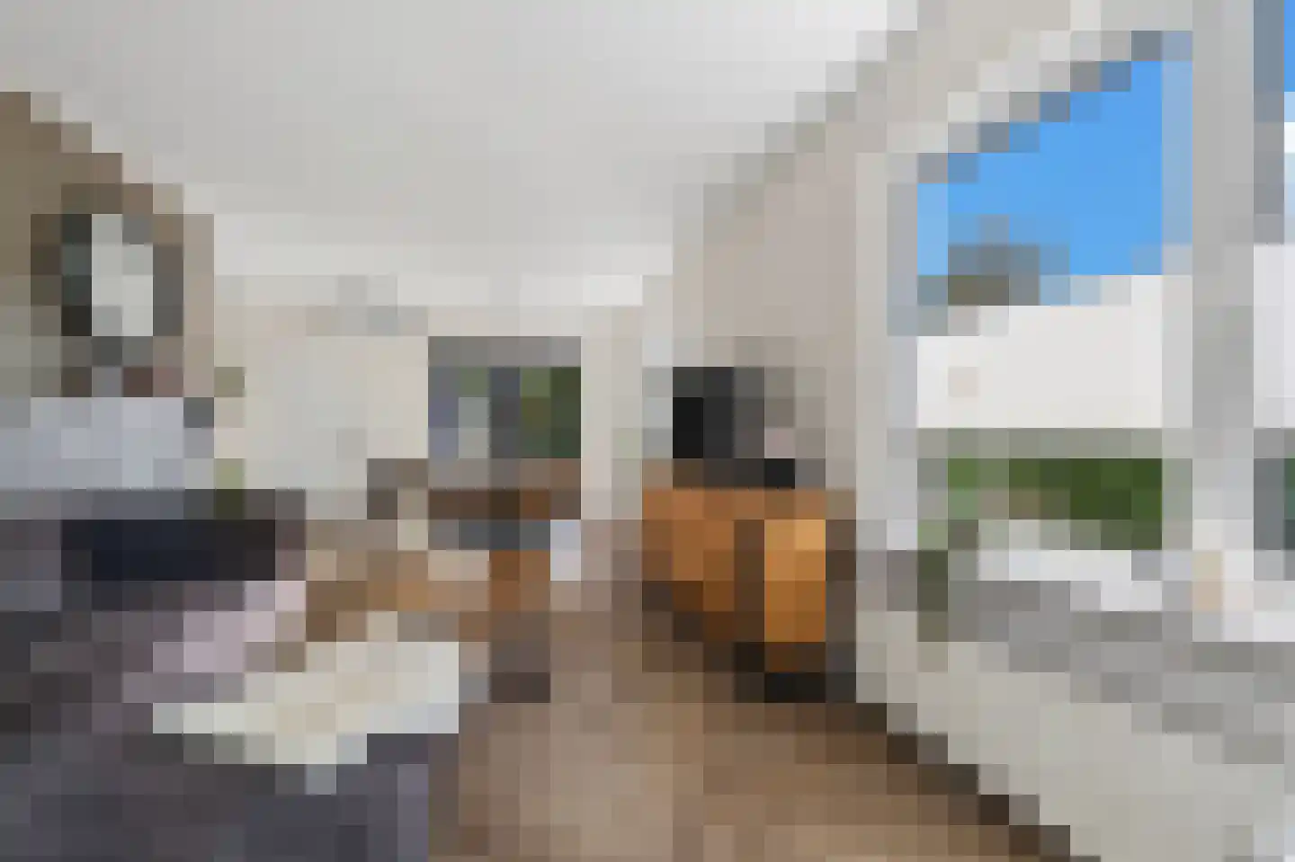 Verlengde Oosterdiep OZ 168 Barger-Compascuum thumbnail 8