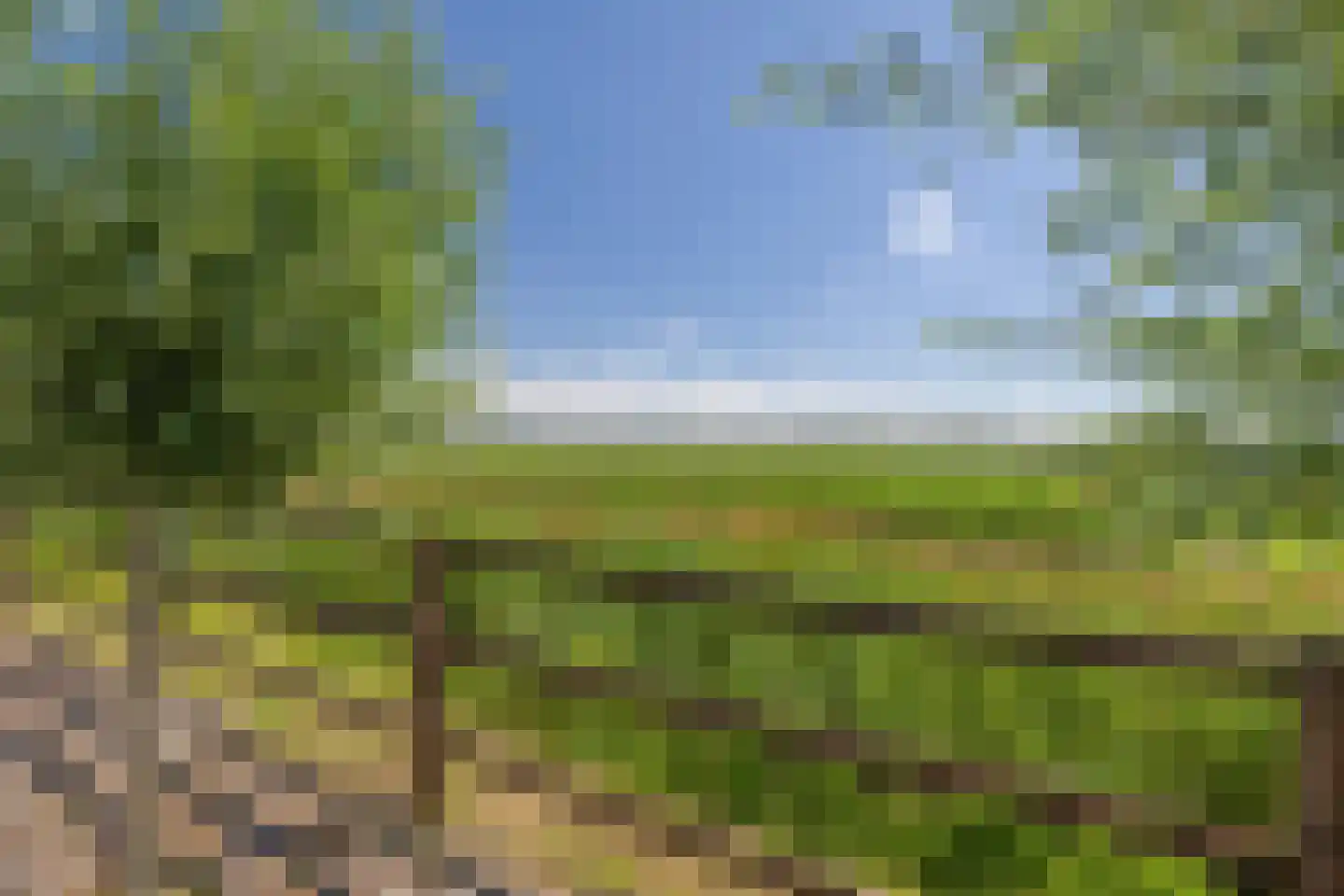 Verlengde Oosterdiep OZ 61 Barger-Compascuum thumbnail 19