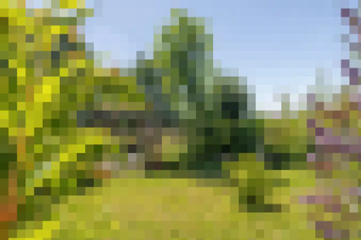 Verlengde Oosterdiep OZ 61 Barger-Compascuum thumbnail 25