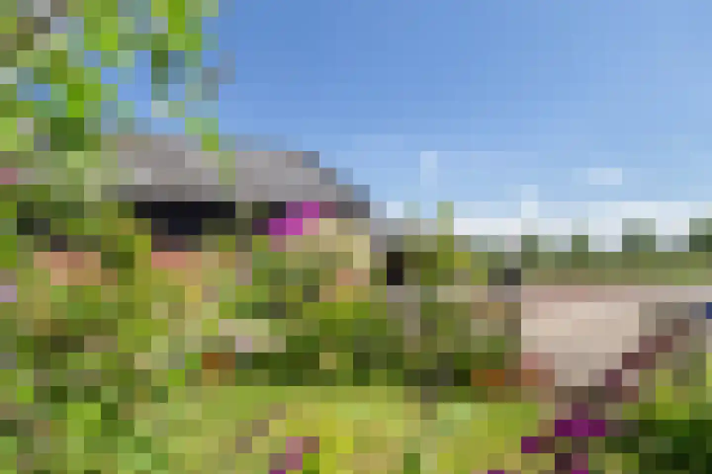 Verlengde Oosterdiep OZ 61 Barger-Compascuum thumbnail 26