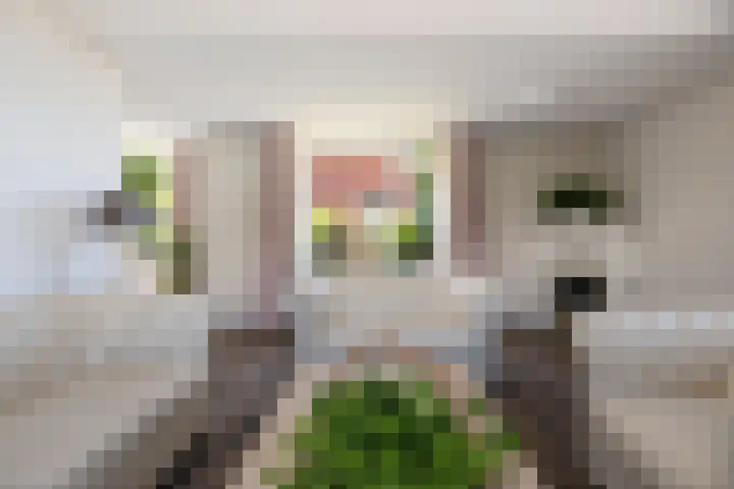 Verlengde Oosterdiep OZ 61 Barger-Compascuum thumbnail 34
