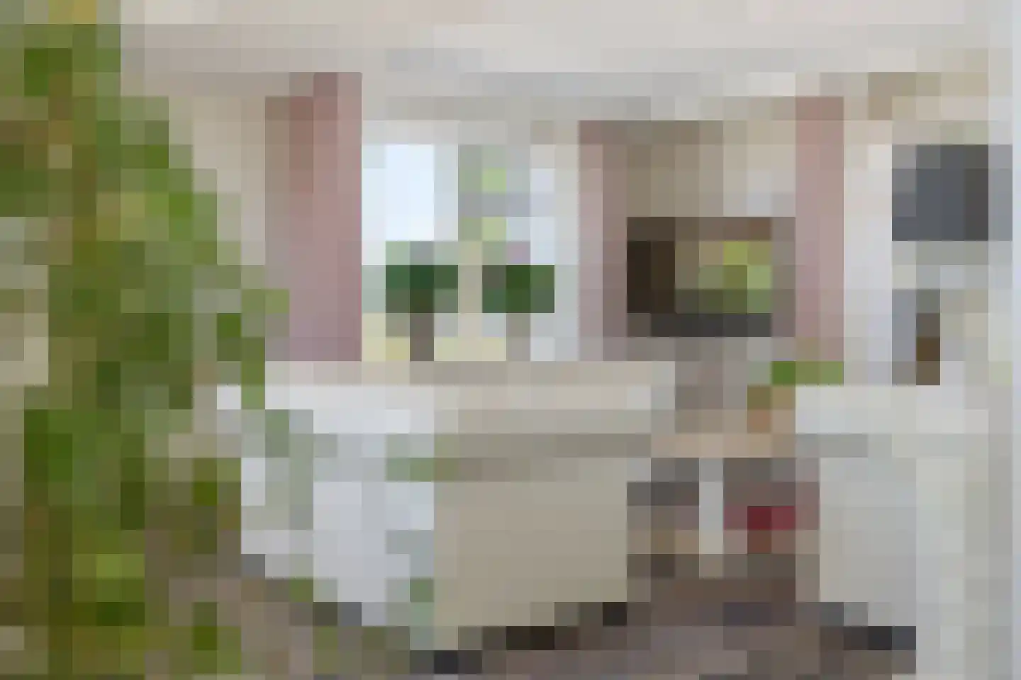 Verlengde Oosterdiep OZ 61 Barger-Compascuum thumbnail 36