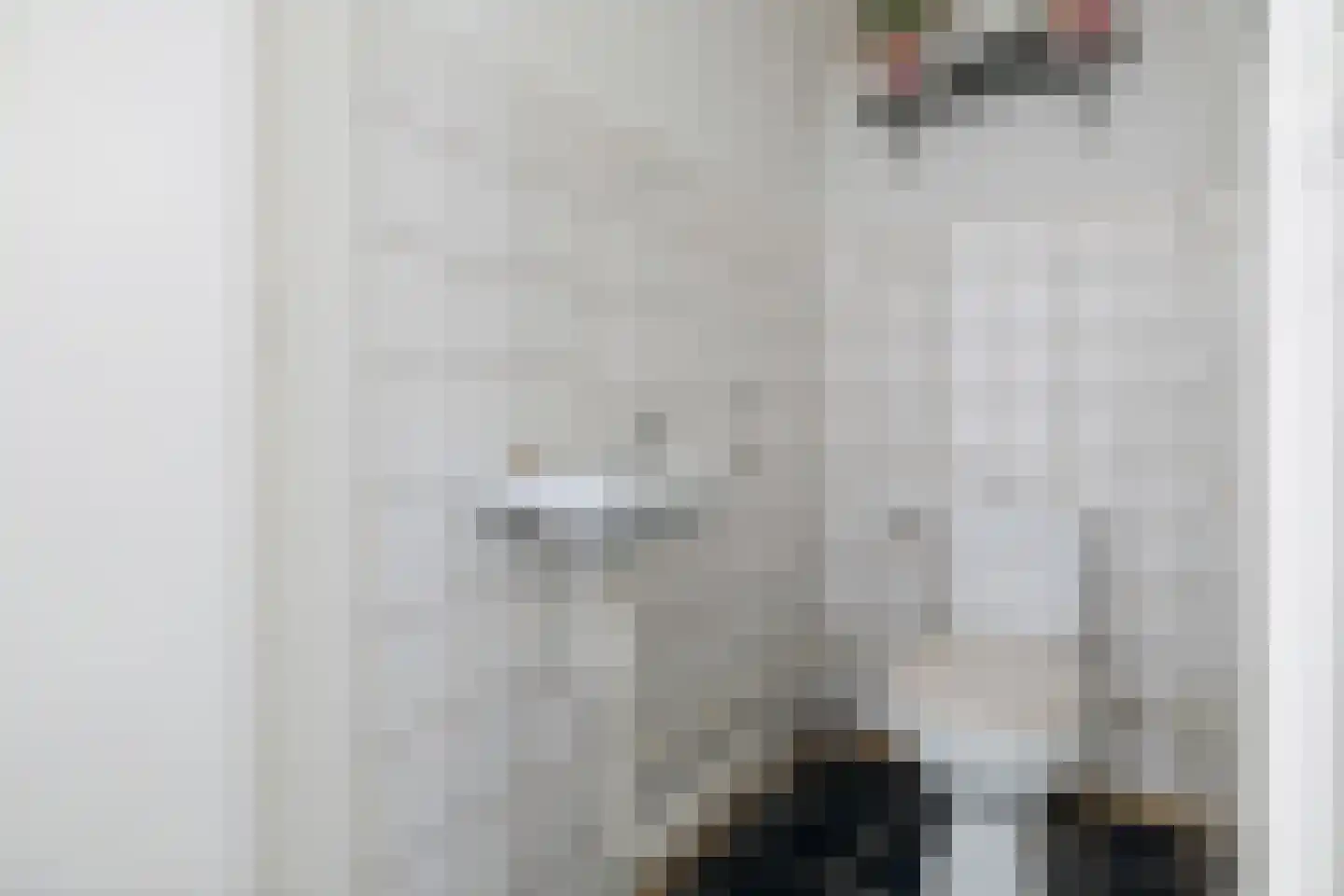 Verlengde Oosterdiep OZ 61 Barger-Compascuum thumbnail 51