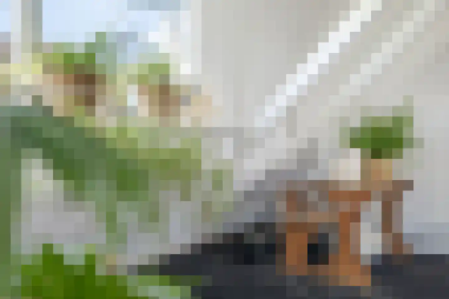 Verlengde Oosterdiep OZ 61 Barger-Compascuum thumbnail 58