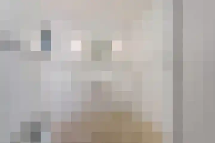 Verlengde Oosterdiep OZ 80 Barger-Compascuum thumbnail 15