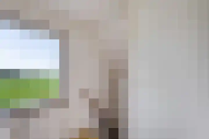 Verlengde Oosterdiep OZ 80 Barger-Compascuum thumbnail 20